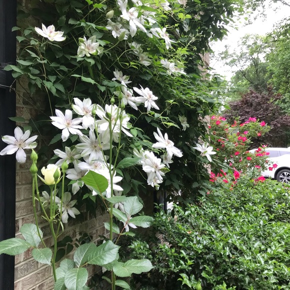 Hi, I am Tatyana. Thank you for stopping by. - Picture 10 of 11